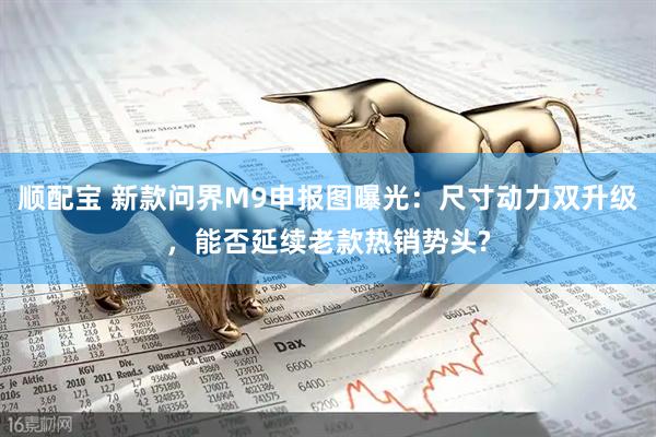顺配宝 新款问界M9申报图曝光：尺寸动力双升级，能否延续老款热销势头?