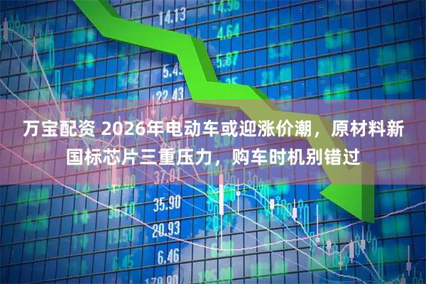 万宝配资 2026年电动车或迎涨价潮，原材料新国标芯片三重压力，购车时机别错过