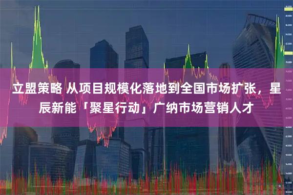立盟策略 从项目规模化落地到全国市场扩张，星辰新能「聚星行动」广纳市场营销人才